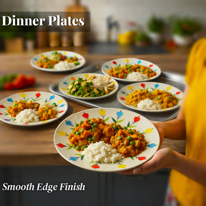 Dinner Plates Set | Multicolour