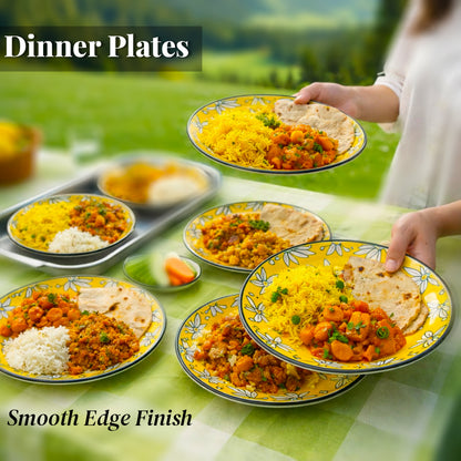 Dinner Plates Set | Multicolour