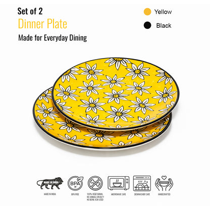 Dinner Plates Set | Multicolour