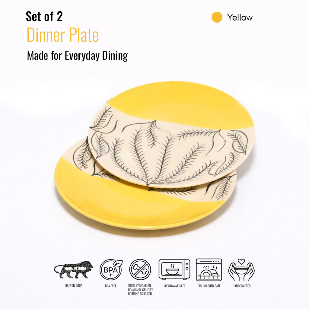 Dinner Plates Set | Multicolour