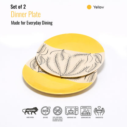 Dinner Plates Set | Multicolour