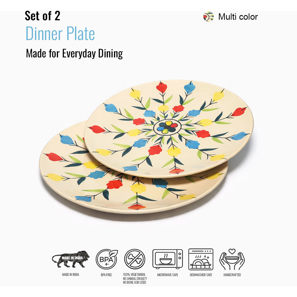 Dinner Plates Set | Multicolour