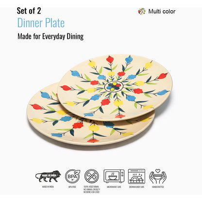Dinner Plates Set | Multicolour