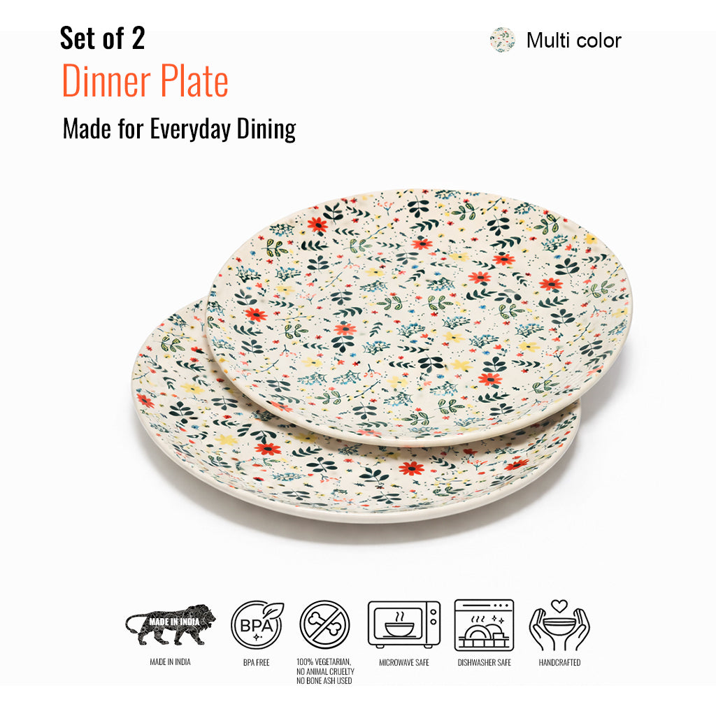 Dinner Plates Set | Multicolour