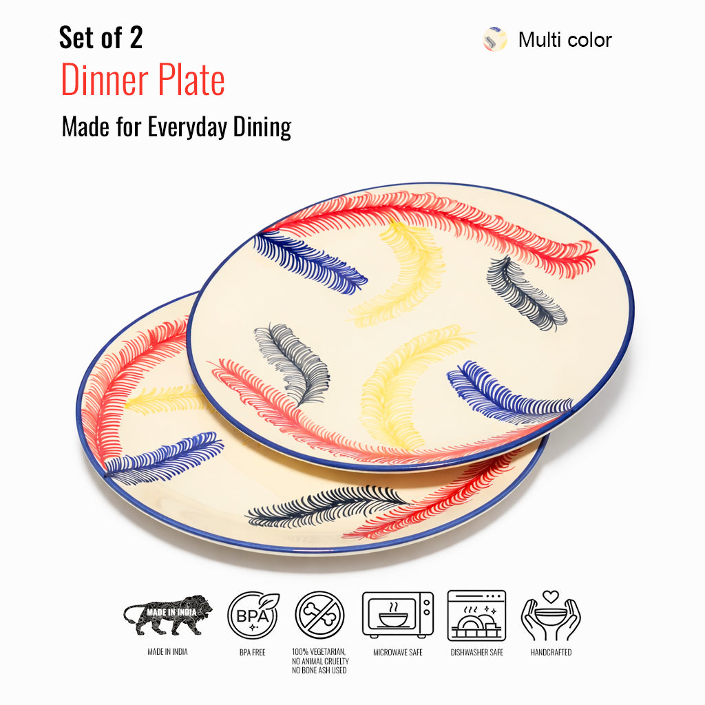 Dinner Plates Set | Multicolour
