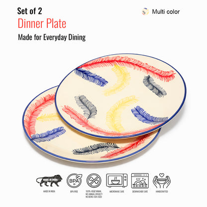 Dinner Plates Set | Multicolour