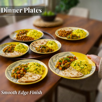 Dinner Plates Set | Multicolour