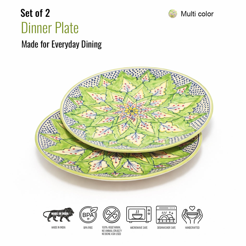 Dinner Plates Set | Multicolour