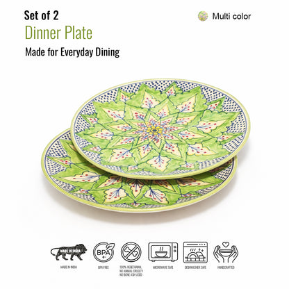 Dinner Plates Set | Multicolour