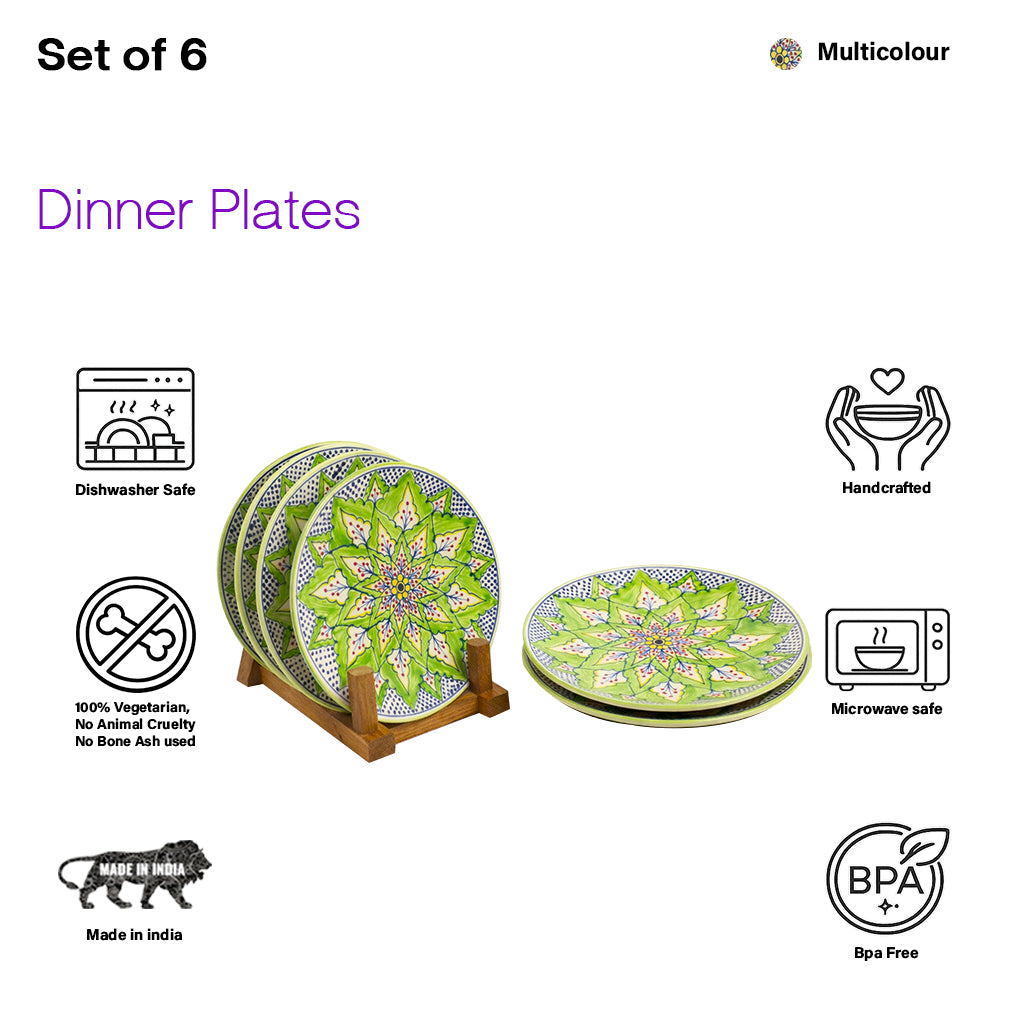 Dinner Plates Set | Multicolour