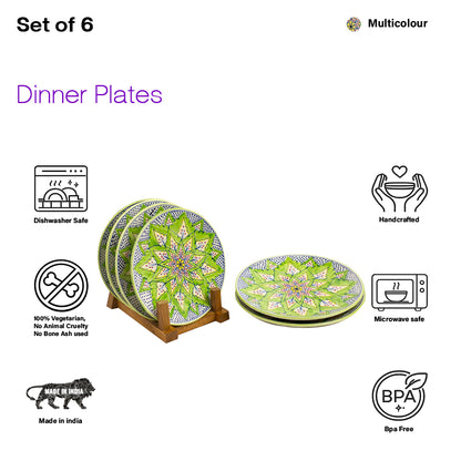 Dinner Plates Set | Multicolour