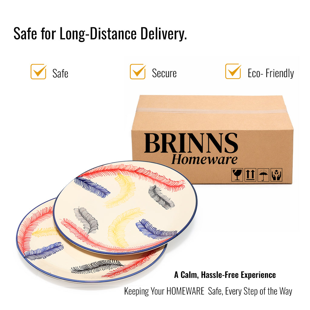 Dinner Plates Set | Multicolour