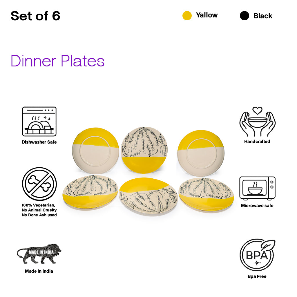 Dinner Plates Set | Multicolour