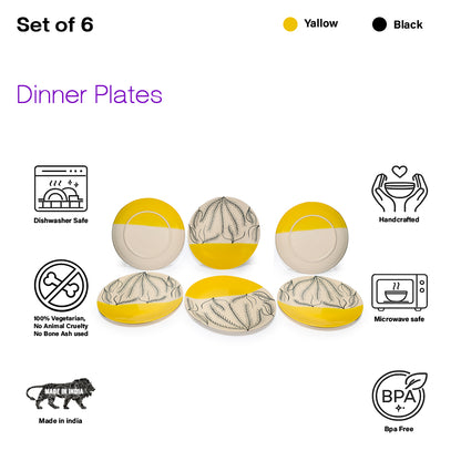 Dinner Plates Set | Multicolour