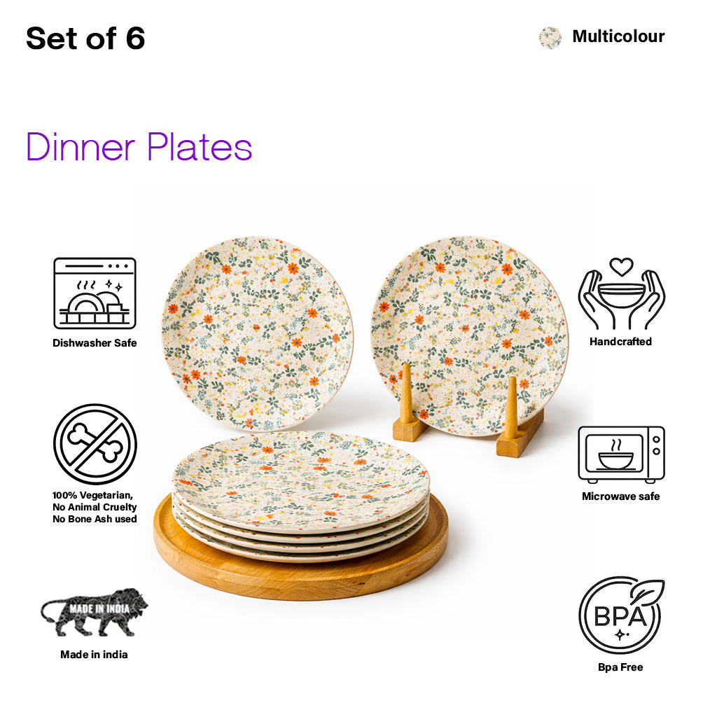 Dinner Plates Set | Multicolour