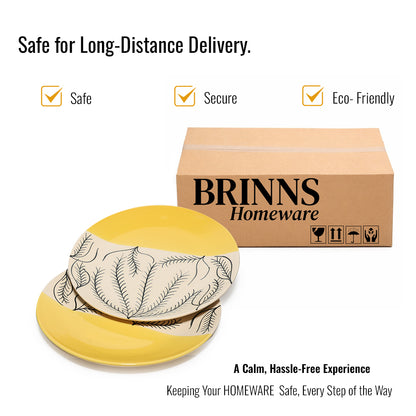 Dinner Plates Set | Multicolour