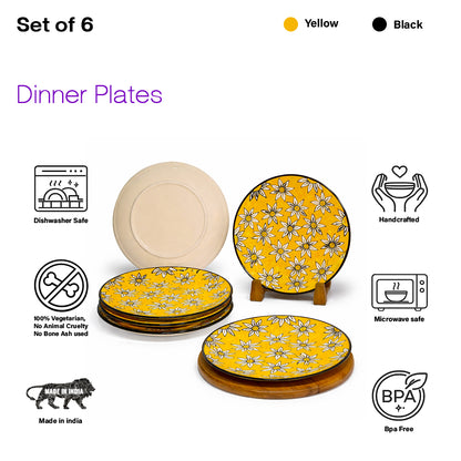 Dinner Plates Set | Multicolour