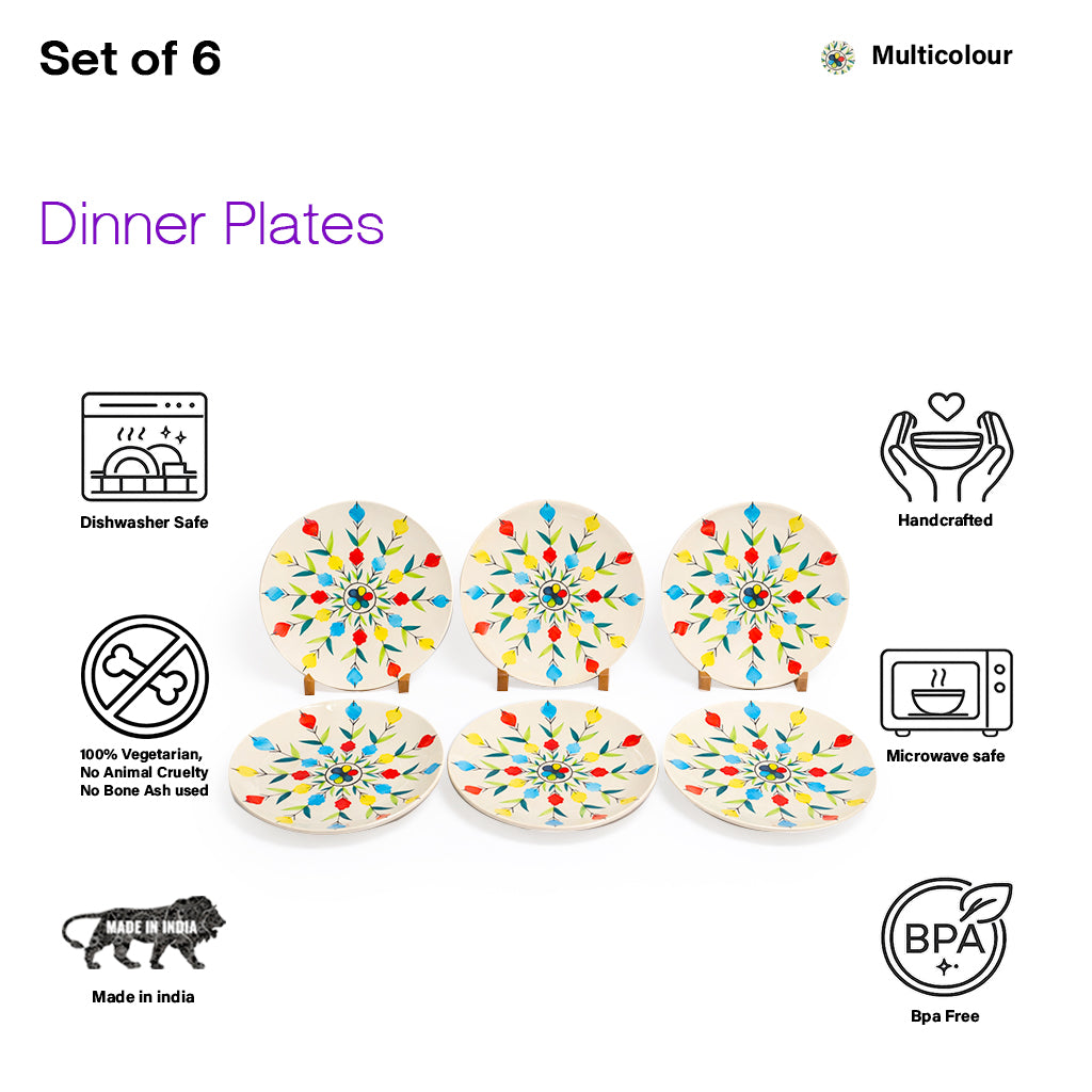 Dinner Plates Set | Multicolour