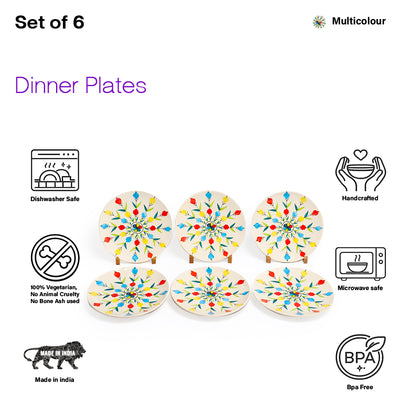 Dinner Plates Set | Multicolour