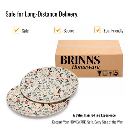 Dinner Plates Set | Multicolour