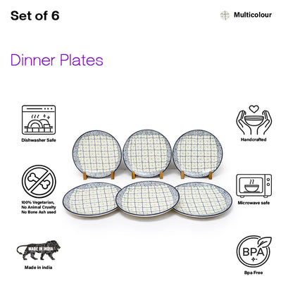 Dinner Plates Set | Multicolour