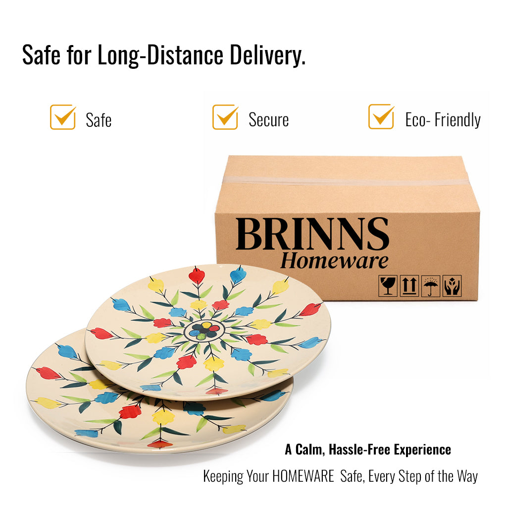 Dinner Plates Set | Multicolour