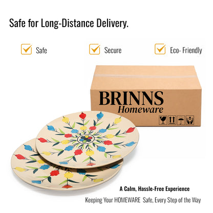 Dinner Plates Set | Multicolour