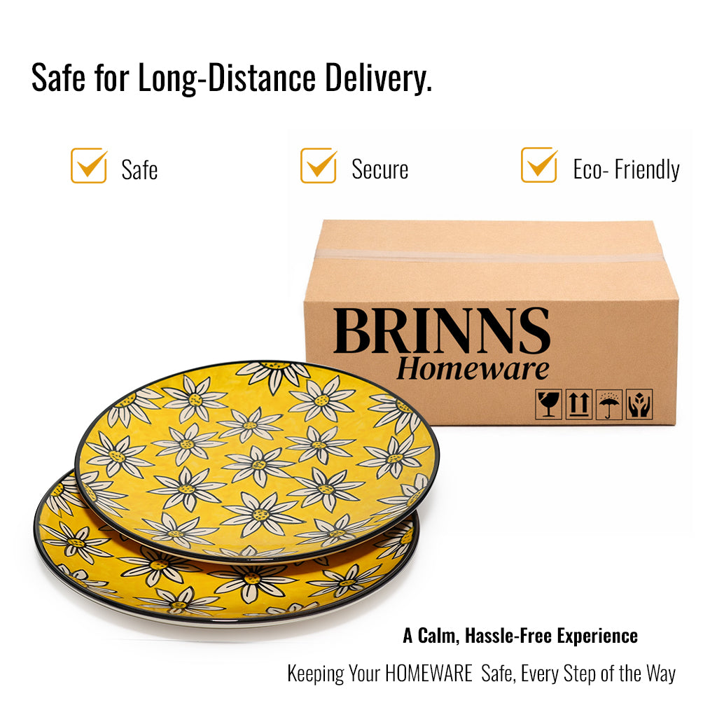 Dinner Plates Set | Multicolour