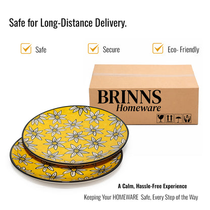 Dinner Plates Set | Multicolour