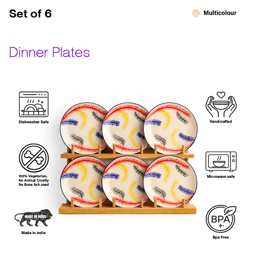 Dinner Plates Set | Multicolour