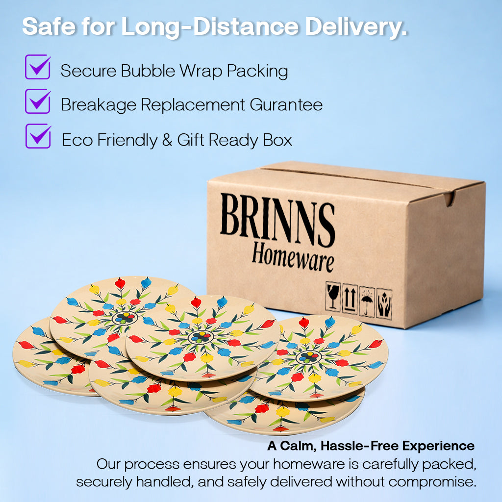 Dinner Plates Set | Multicolour