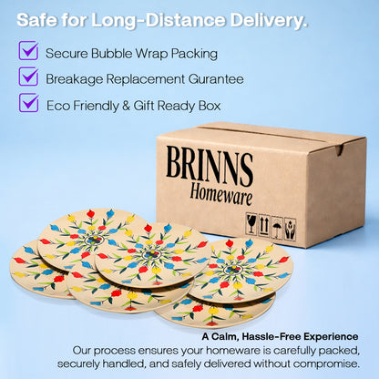 Dinner Plates Set | Multicolour