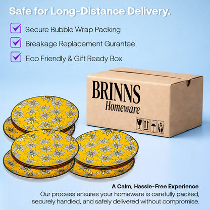 Dinner Plates Set | Multicolour