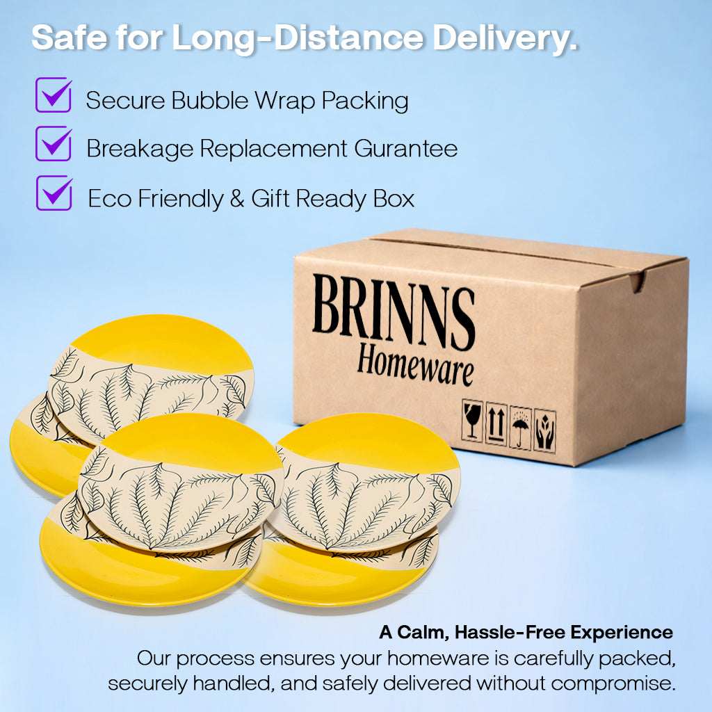 Dinner Plates Set | Multicolour