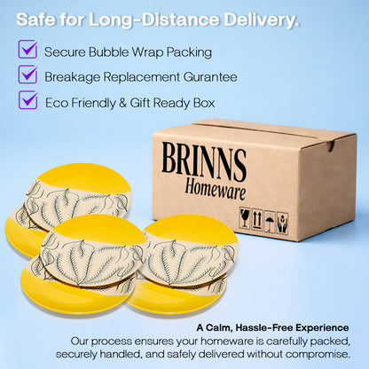 Dinner Plates Set | Multicolour