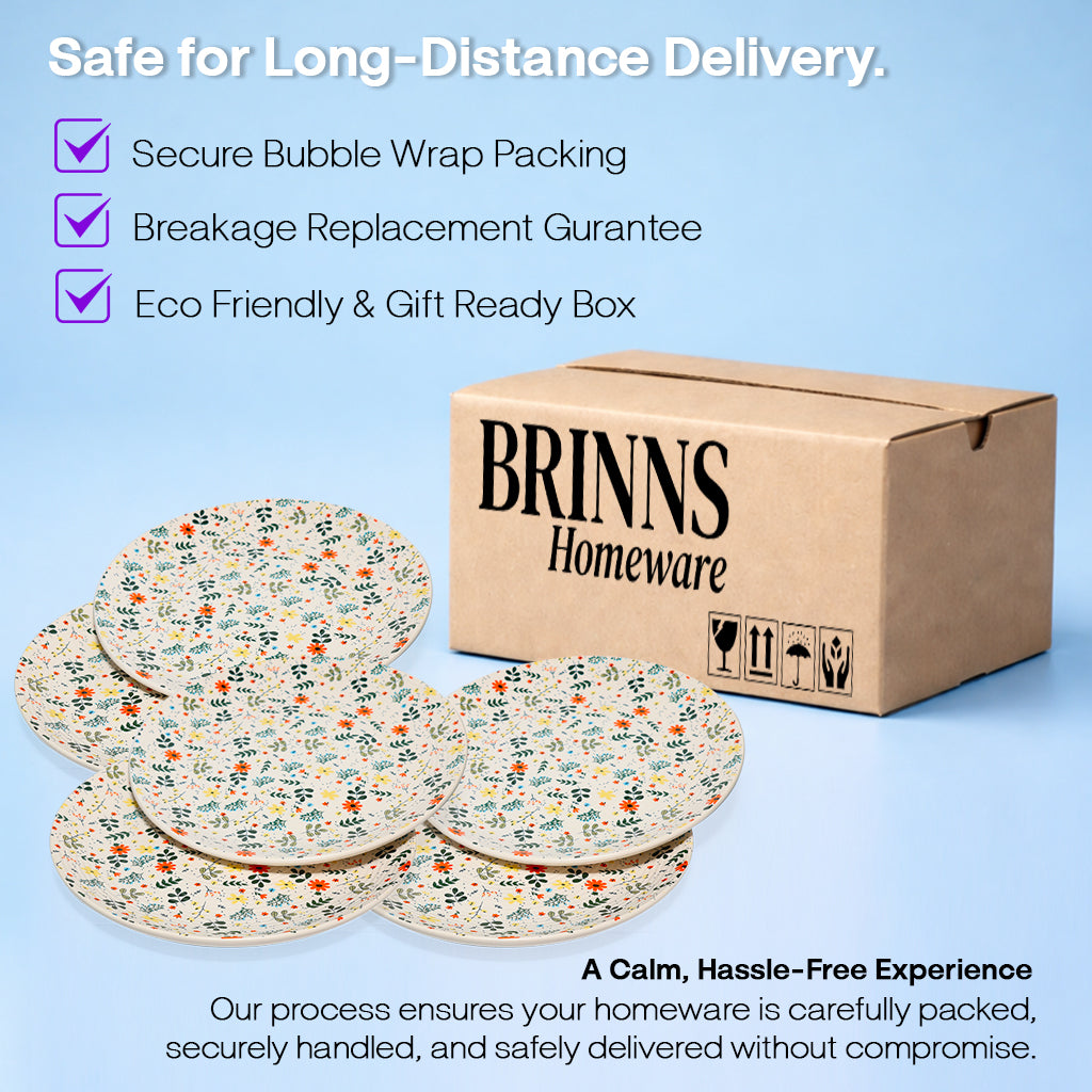 Dinner Plates Set | Multicolour