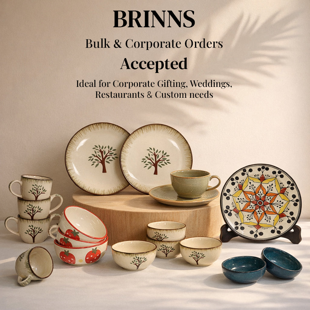 Dinner Plates Set | Multicolour