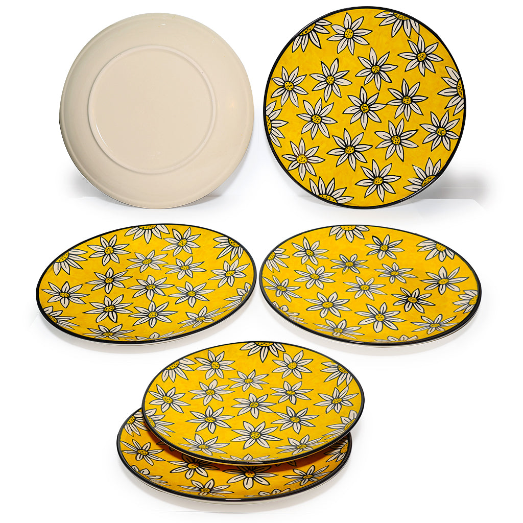 Dinner Plates Set | Multicolour