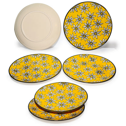 Dinner Plates Set | Multicolour