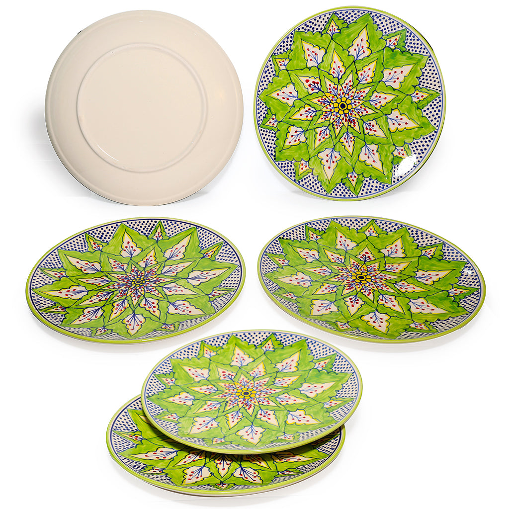 Dinner Plates Set | Multicolour