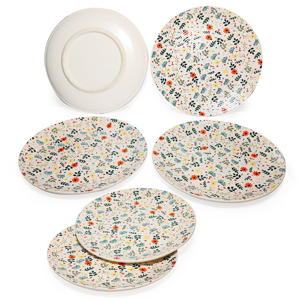 Dinner Plates Set | Multicolour