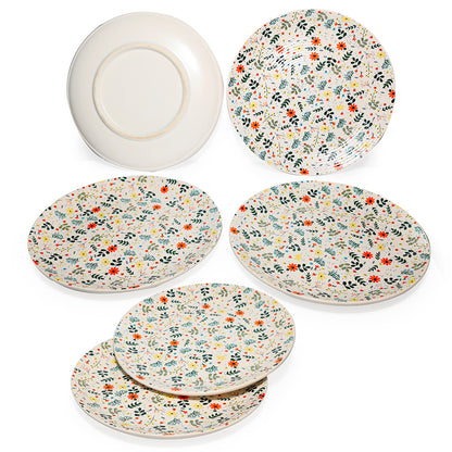 Dinner Plates Set | Multicolour