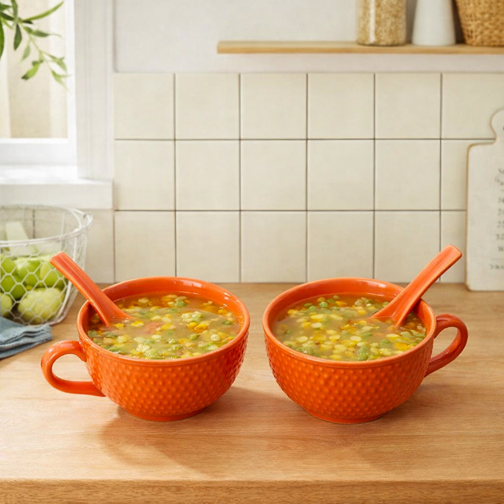 Soup Bowls with Spoons Sets | 350 ml
