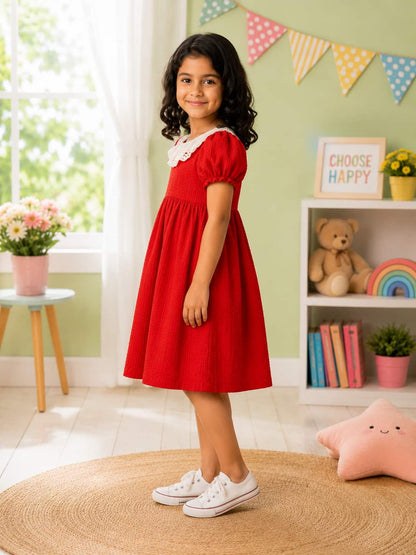 Puff Sleeve A-Line Dress with an Embroidered Lace Collar