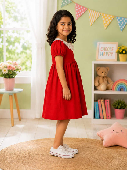 Puff Sleeve A-Line Dress with an Embroidered Lace Collar