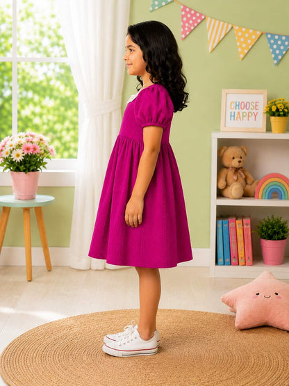 Puff Sleeve A-Line Dress with an Embroidered Lace Collar