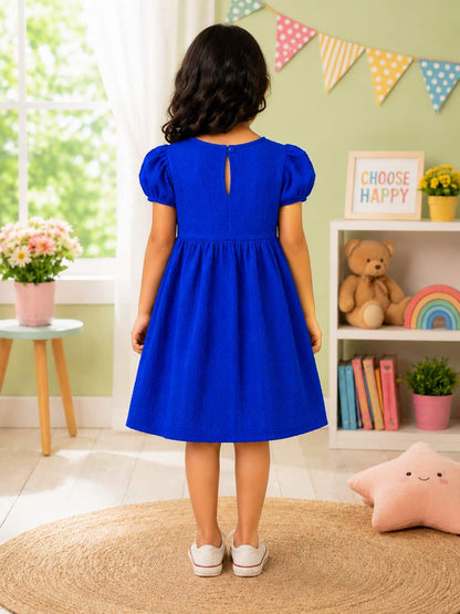 Puff Sleeve A-Line Dress with an Embroidered Lace Collar